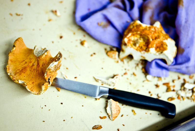 Lobster Mushrooms, Allen and Delancey. Photo by Zandy Mangold. © 2009